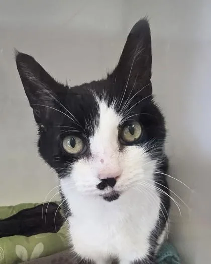 Wabisabi thumbnail 3