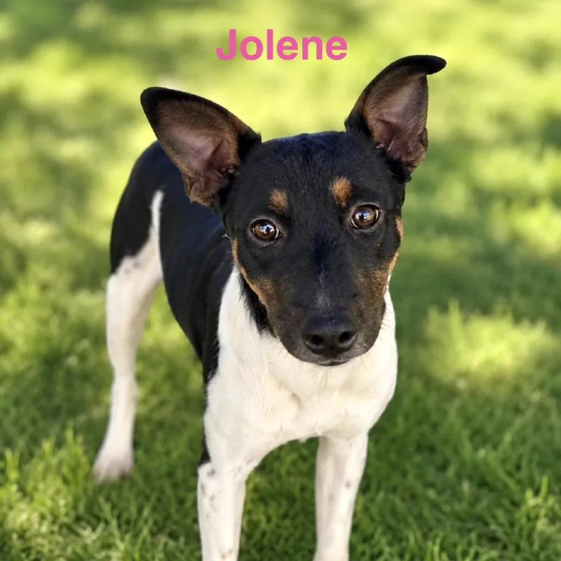 Jolene thumbnail 2
