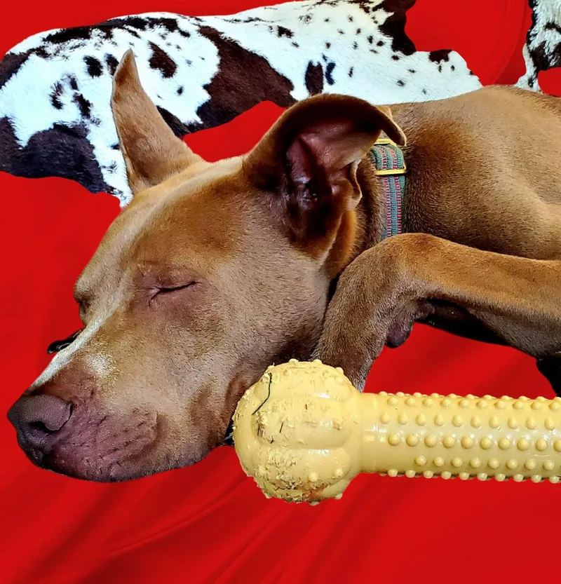 Ajax thumbnail 5