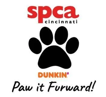 Snow Plow thumbnail 2