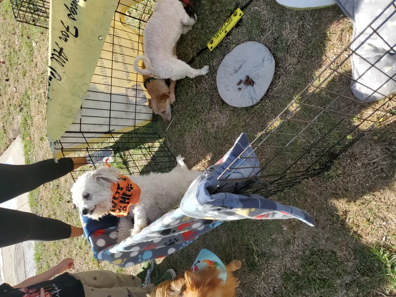 Mr. Coco Brian May thumbnail 4