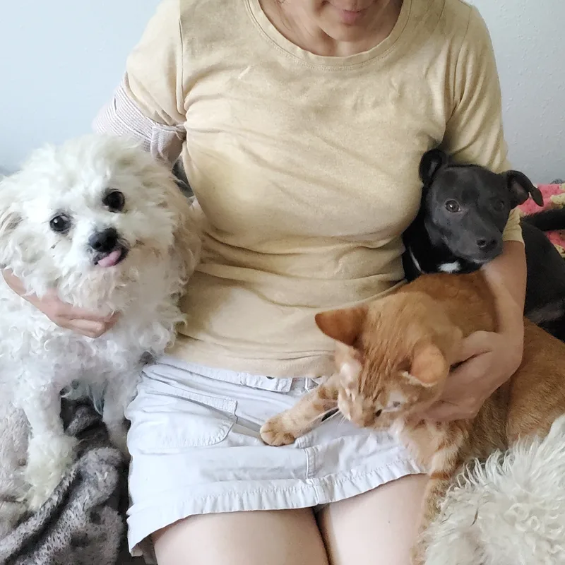 Mr. Coco Brian May thumbnail 6