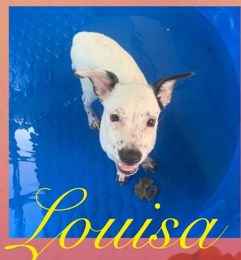 Louisa thumbnail 4