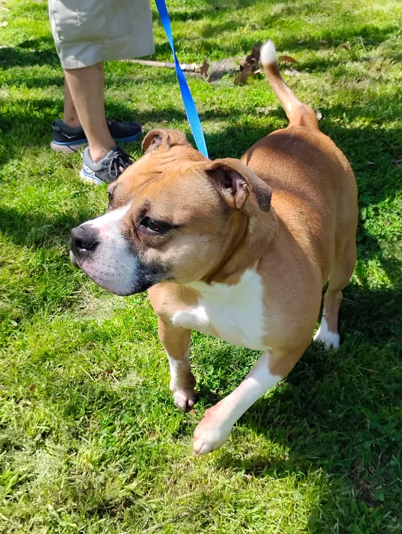 Layla Roxie thumbnail 6