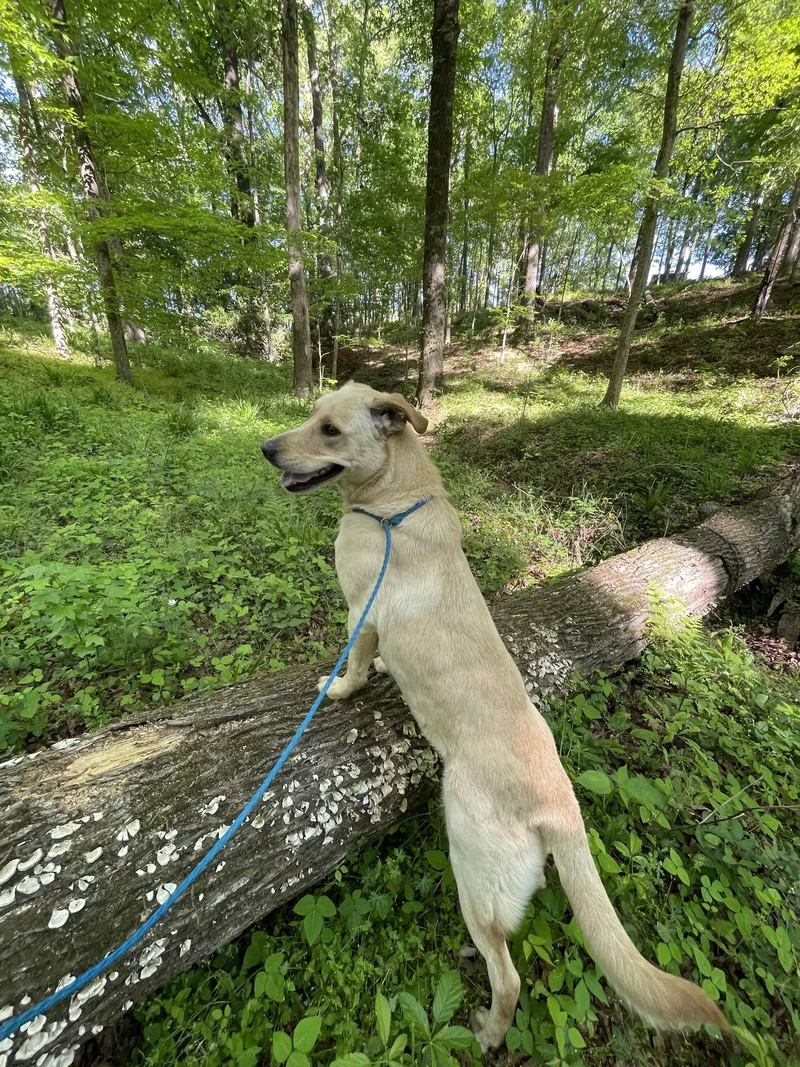 Faith Dixon thumbnail 2