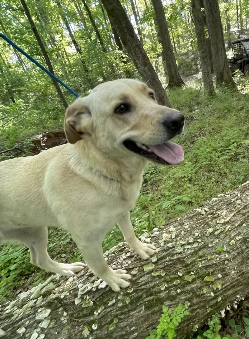 Faith Dixon thumbnail 3