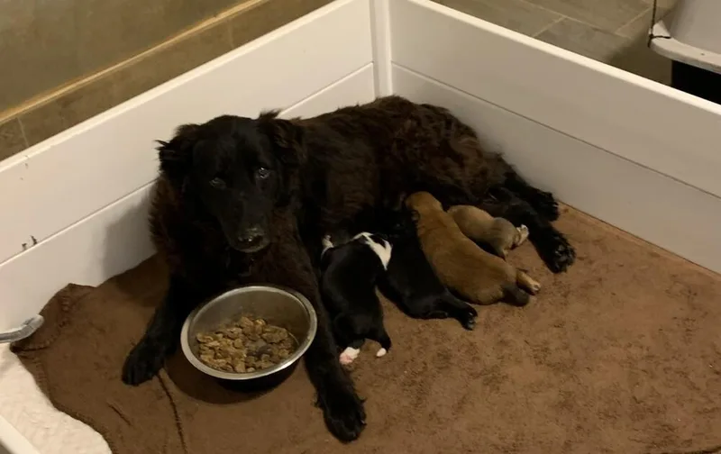 Charlottemama thumbnail 2