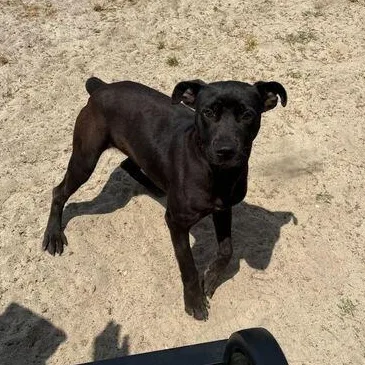 Pixel
