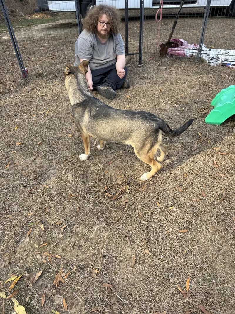 Arson Muffin thumbnail 2