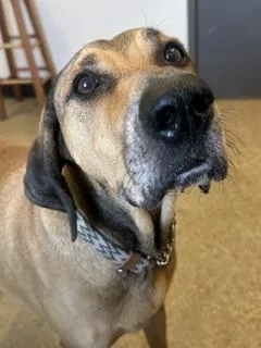 Murphy
