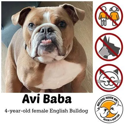 Avi Baba thumbnail 3