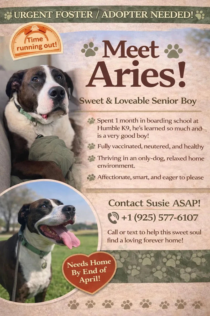 Aries
