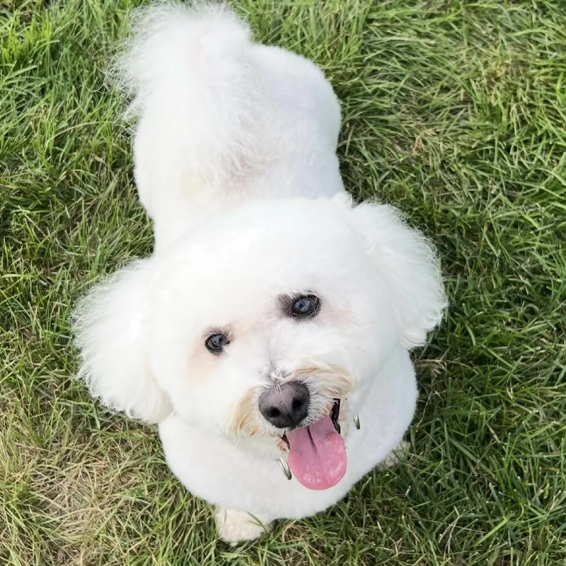 Teddy thumbnail 2