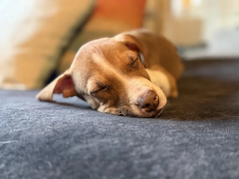 Bay Of Cadiz thumbnail 2