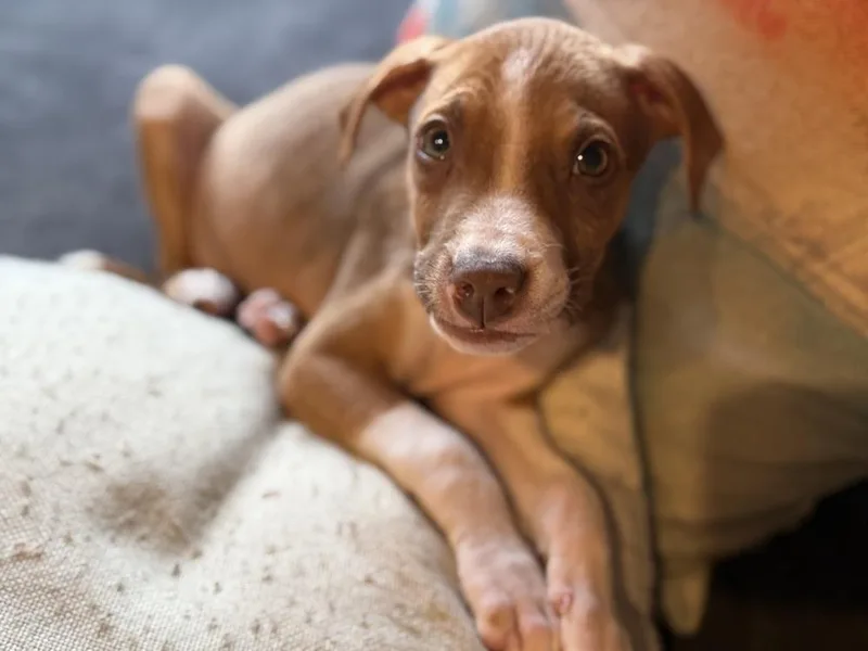 Bay Of Cadiz thumbnail 4