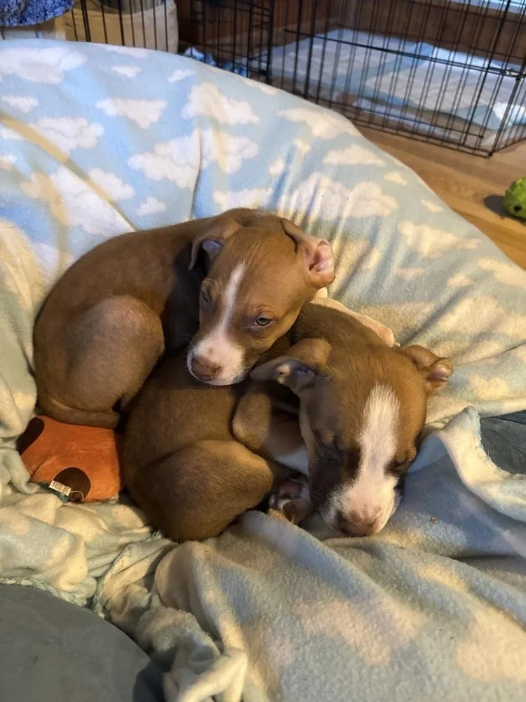 Bay Of Cadiz thumbnail 5