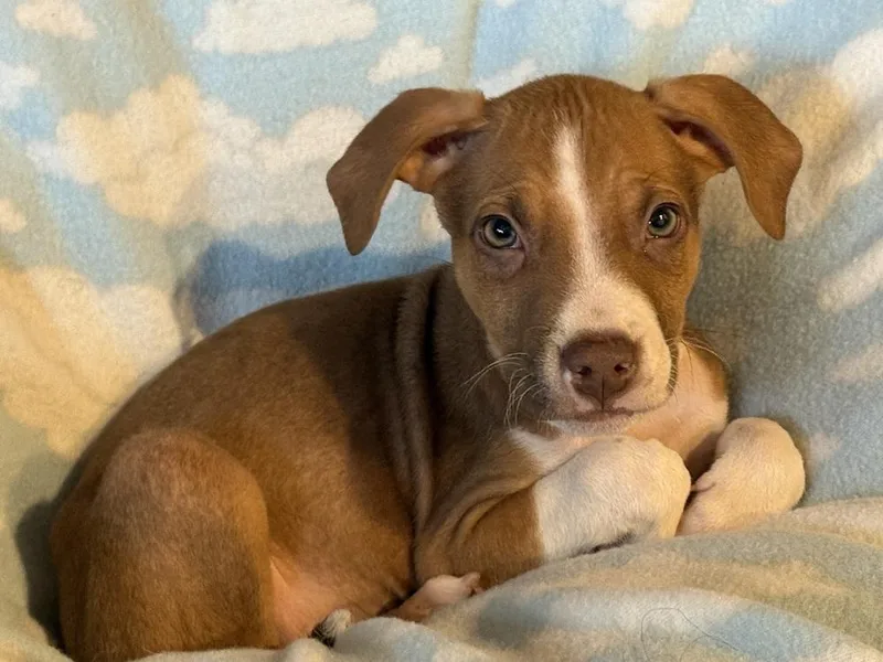 Bay Of Cadiz thumbnail 6