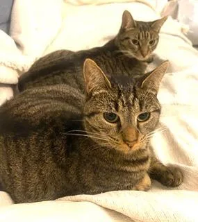 Joy and Milan thumbnail 2