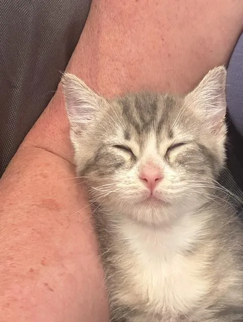 Tiki Kiti thumbnail 2
