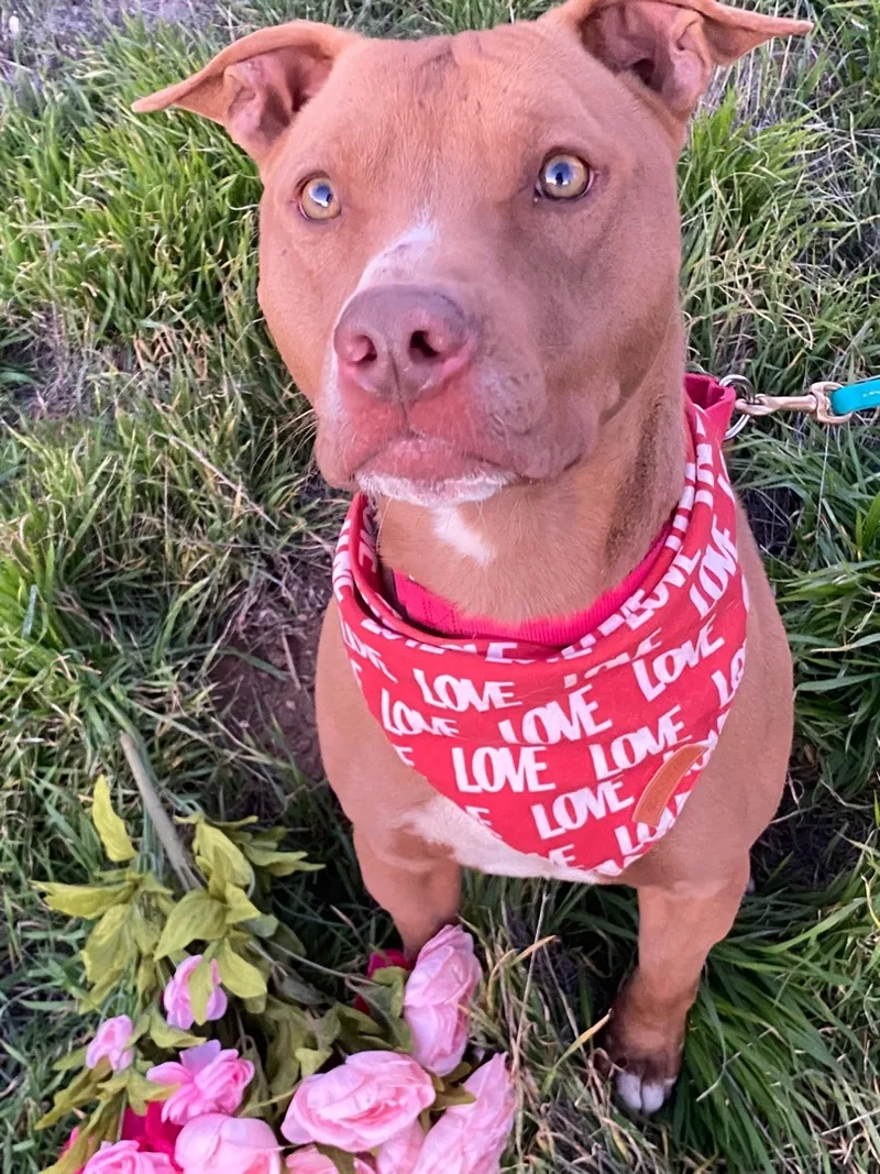 Awesome Handsome  Sweet