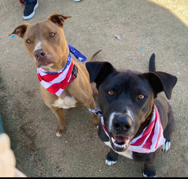 Awesome Handsome  Sweet thumbnail 2