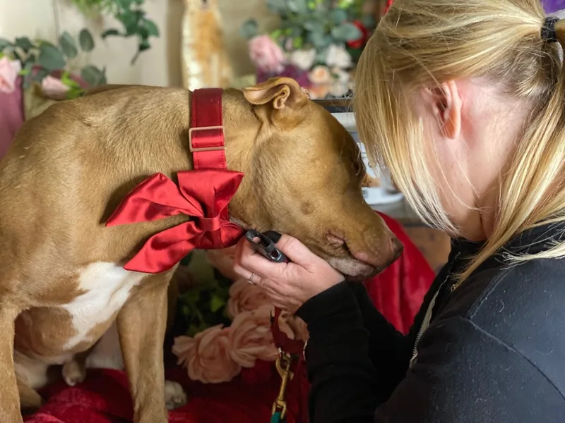 Awesome Handsome  Sweet thumbnail 3