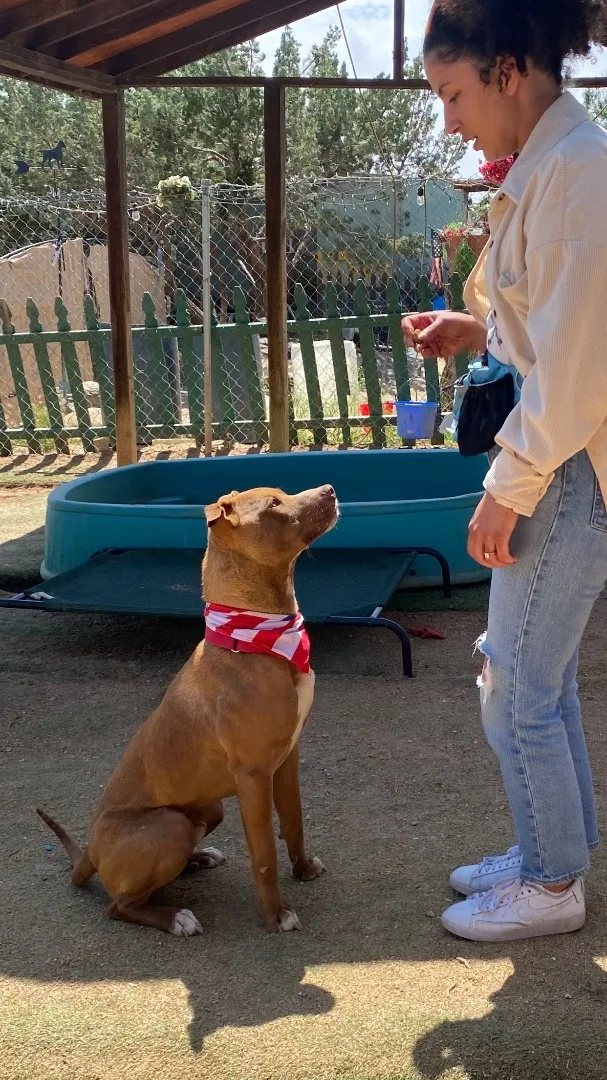 Awesome Handsome  Sweet thumbnail 4