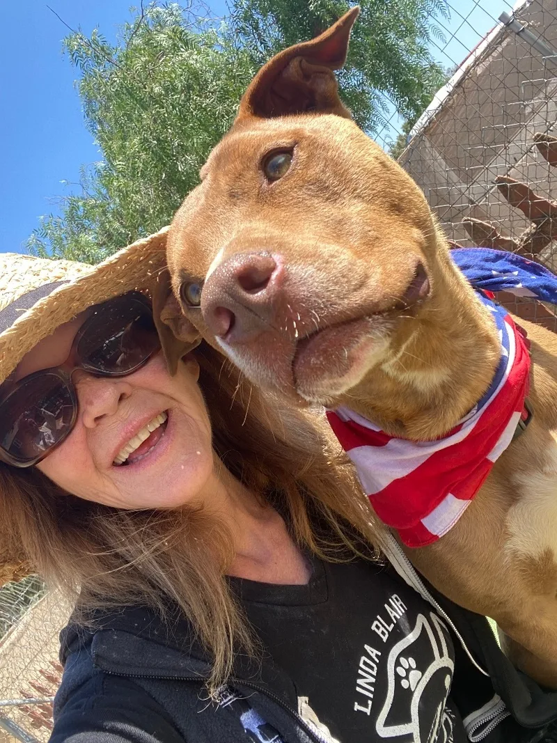 Awesome Handsome  Sweet thumbnail 5