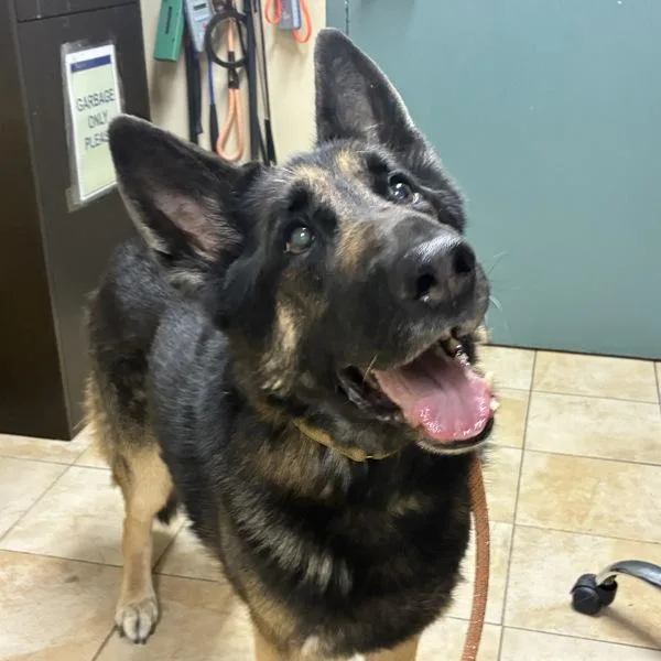 Duke