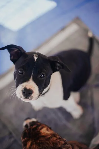 Dr. Pepper thumbnail 2