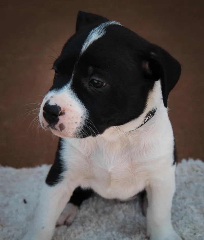 Dr. Pepper thumbnail 3