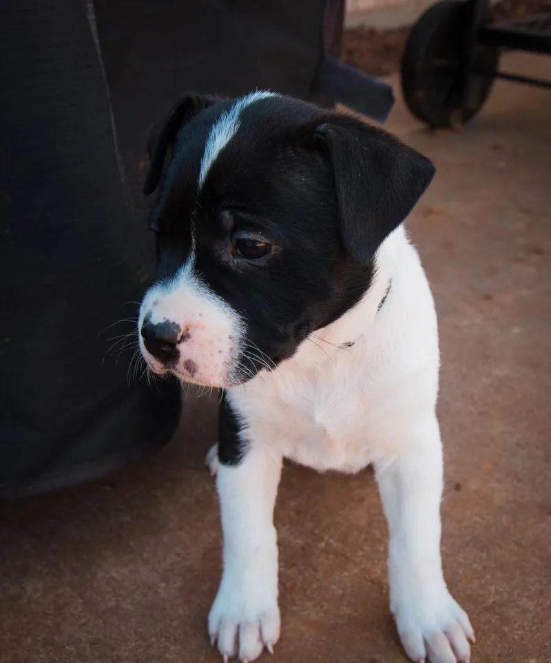 Dr. Pepper thumbnail 6