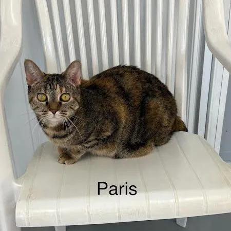 Paris thumbnail 3