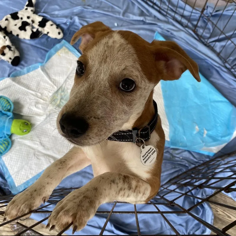 Denny Fka Don thumbnail 2