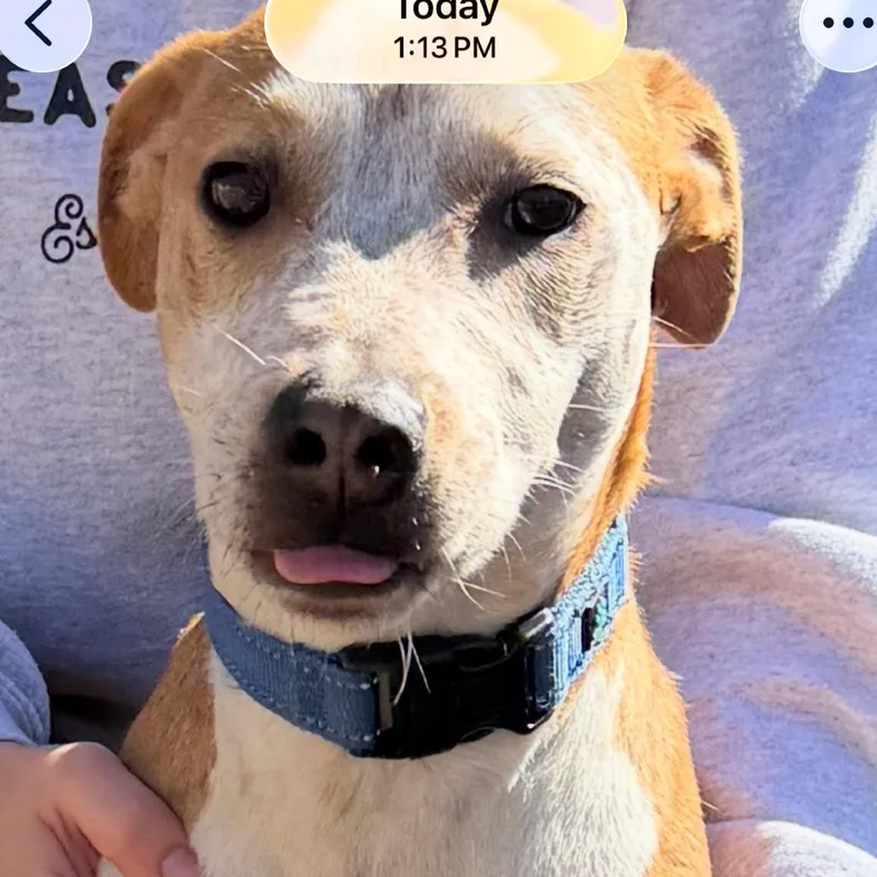 Denny Fka Don thumbnail 3