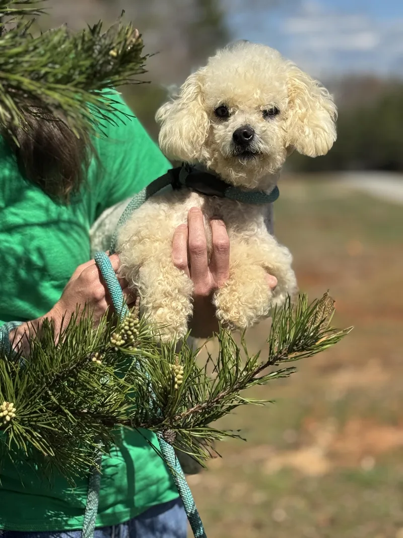 Precious thumbnail 4