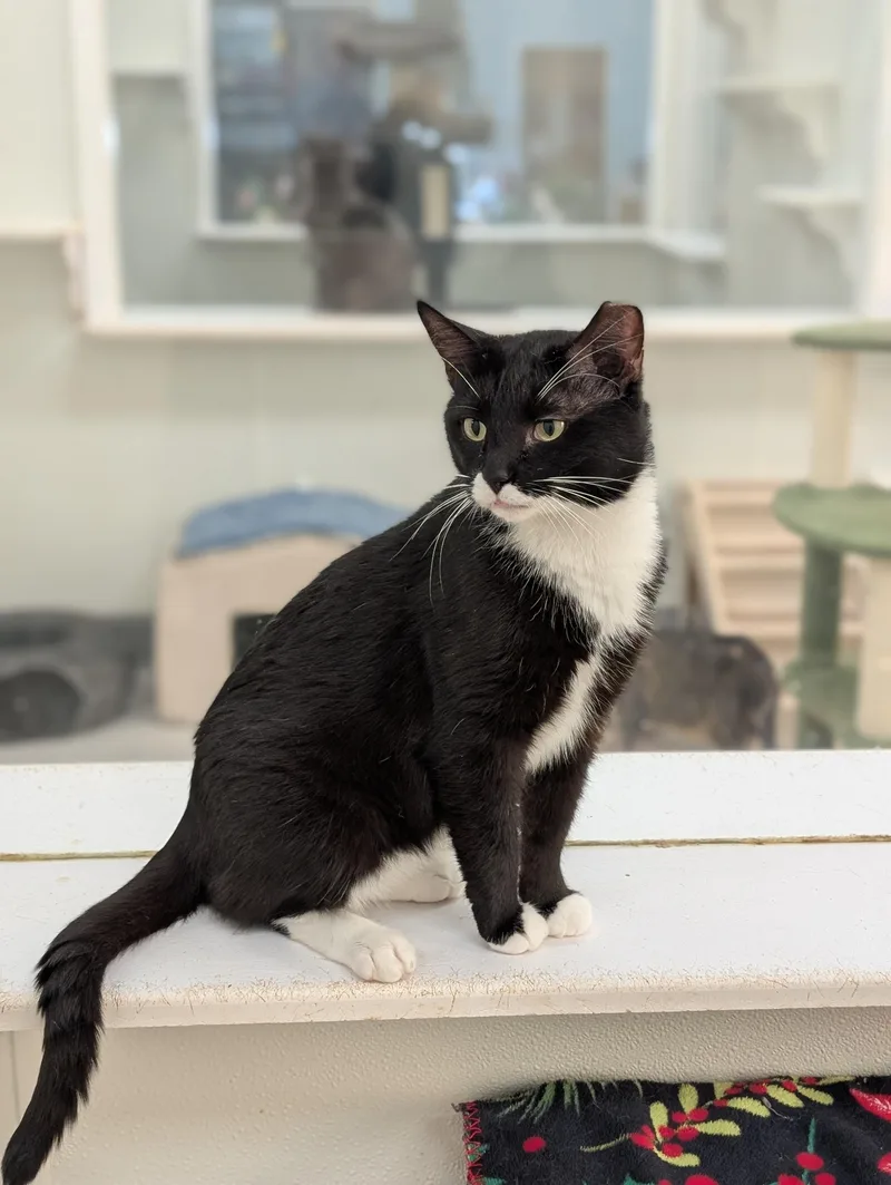 Milky Way thumbnail 2