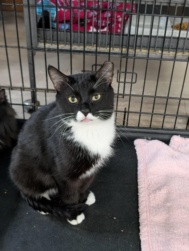 Milky Way thumbnail 3