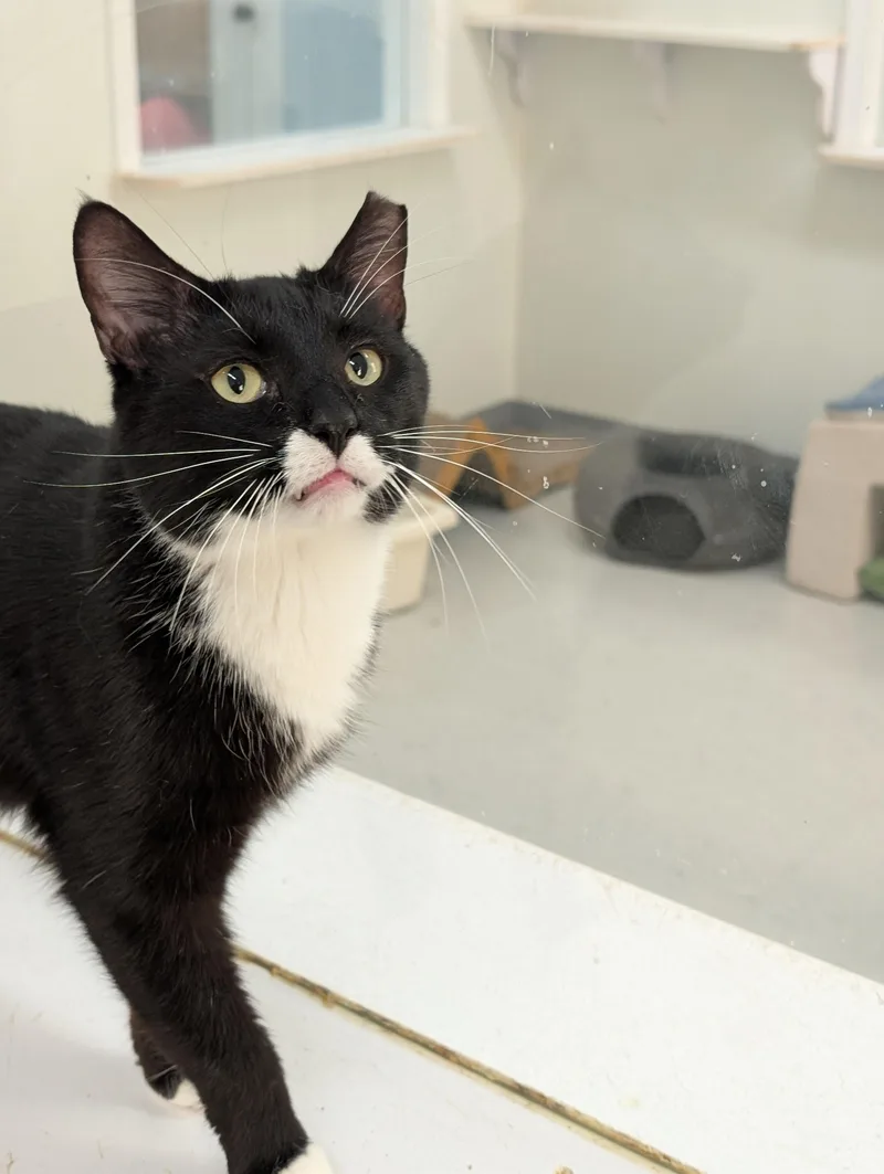 Milky Way thumbnail 4