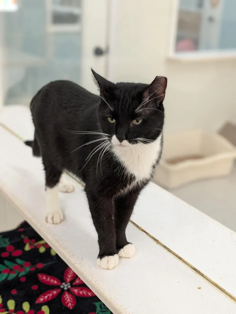 Milky Way thumbnail 5