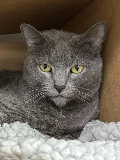 Stormi $ thumbnail 3