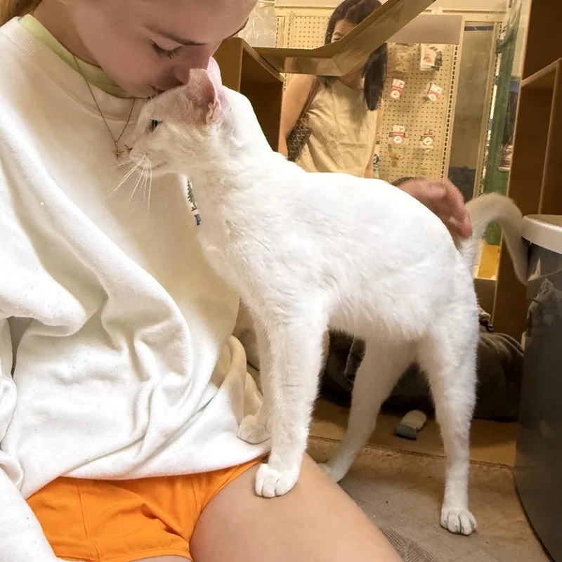 Smudge and Señor Blanco thumbnail 4