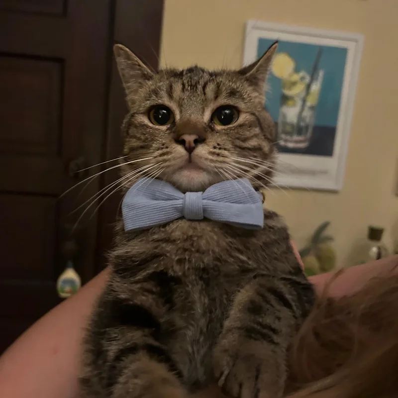 Franklin And Nashville  thumbnail 3