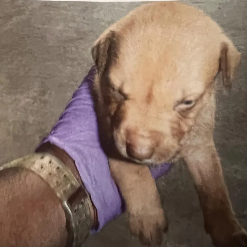 Nadia Aka Daisy thumbnail 2