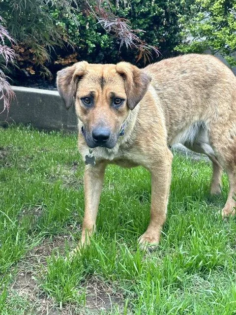 Dani Bea thumbnail 3