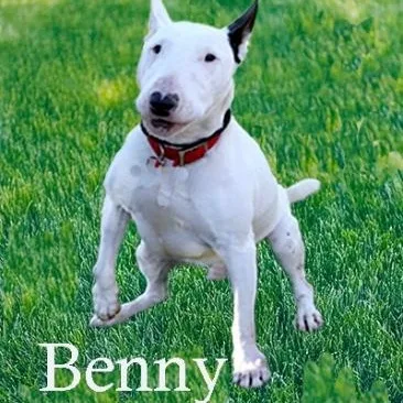 Benny