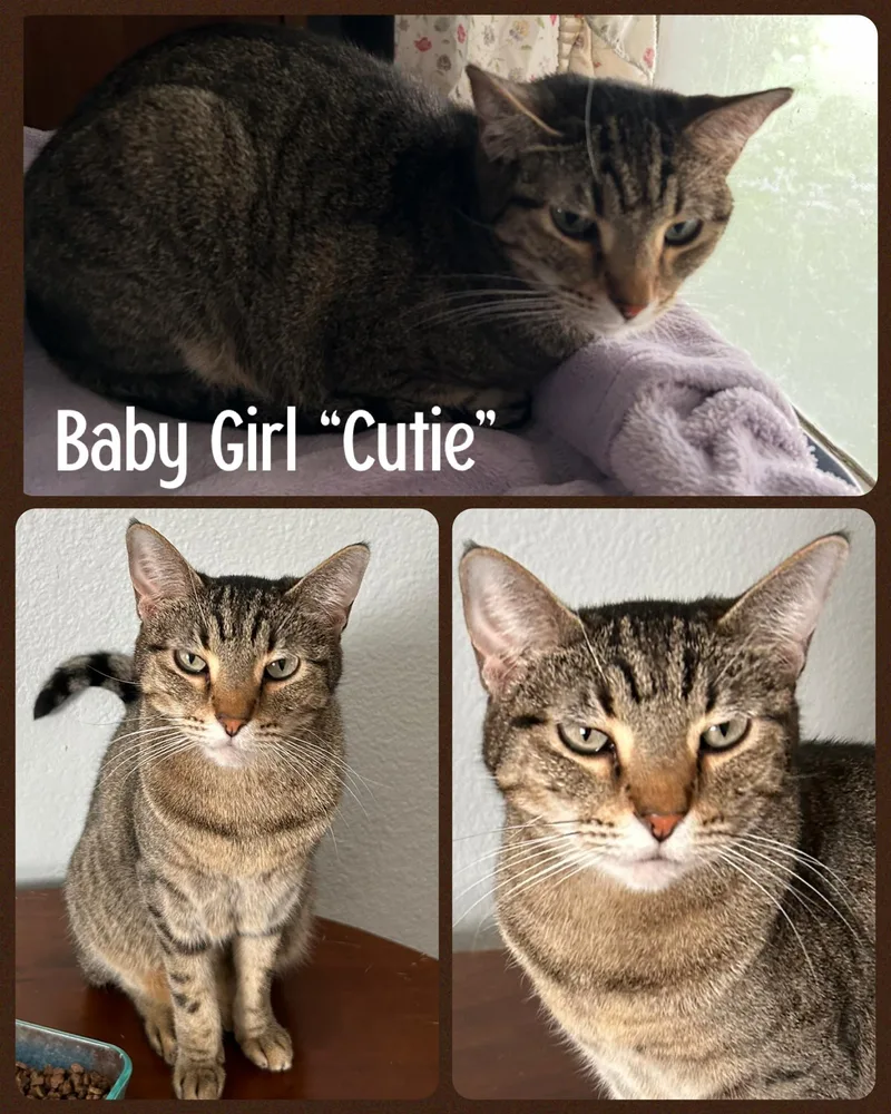 Baby Girl "cutie"