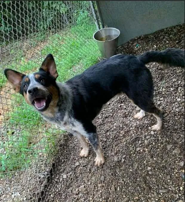 Milo