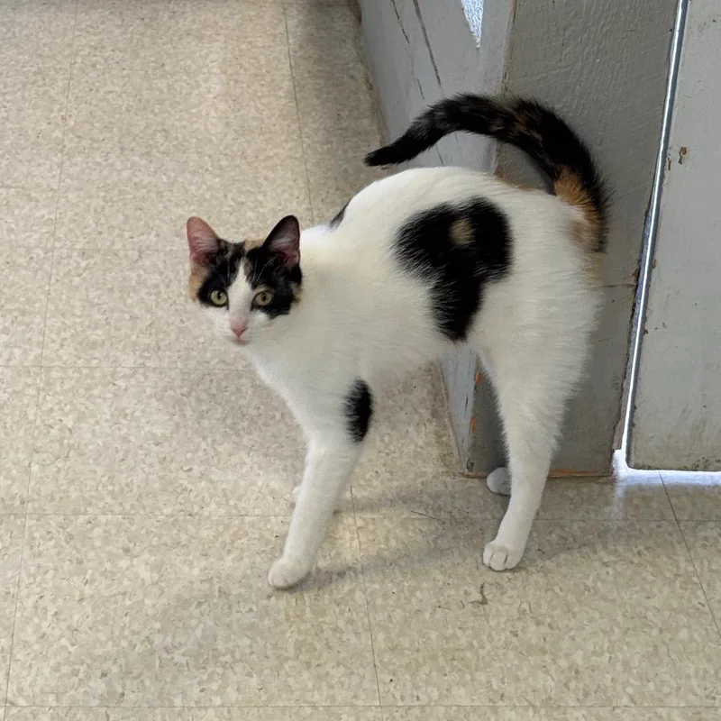 Lorraine thumbnail 2