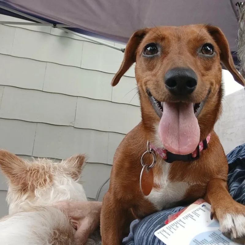 Riley Joe thumbnail 3